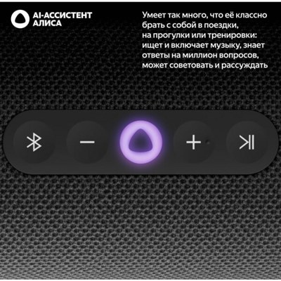 Умная портативная колонка Яндекс Станция Стрит YNDX-00030BLK (черный)- фото3