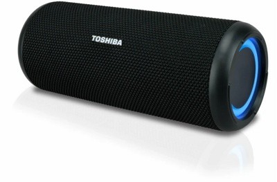   Toshiba TY-WSP201